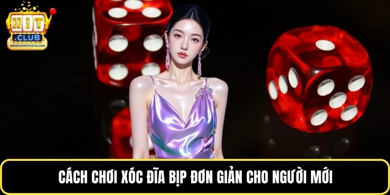 Cách chơi xóc đĩa bịp đơn giản cho người mới